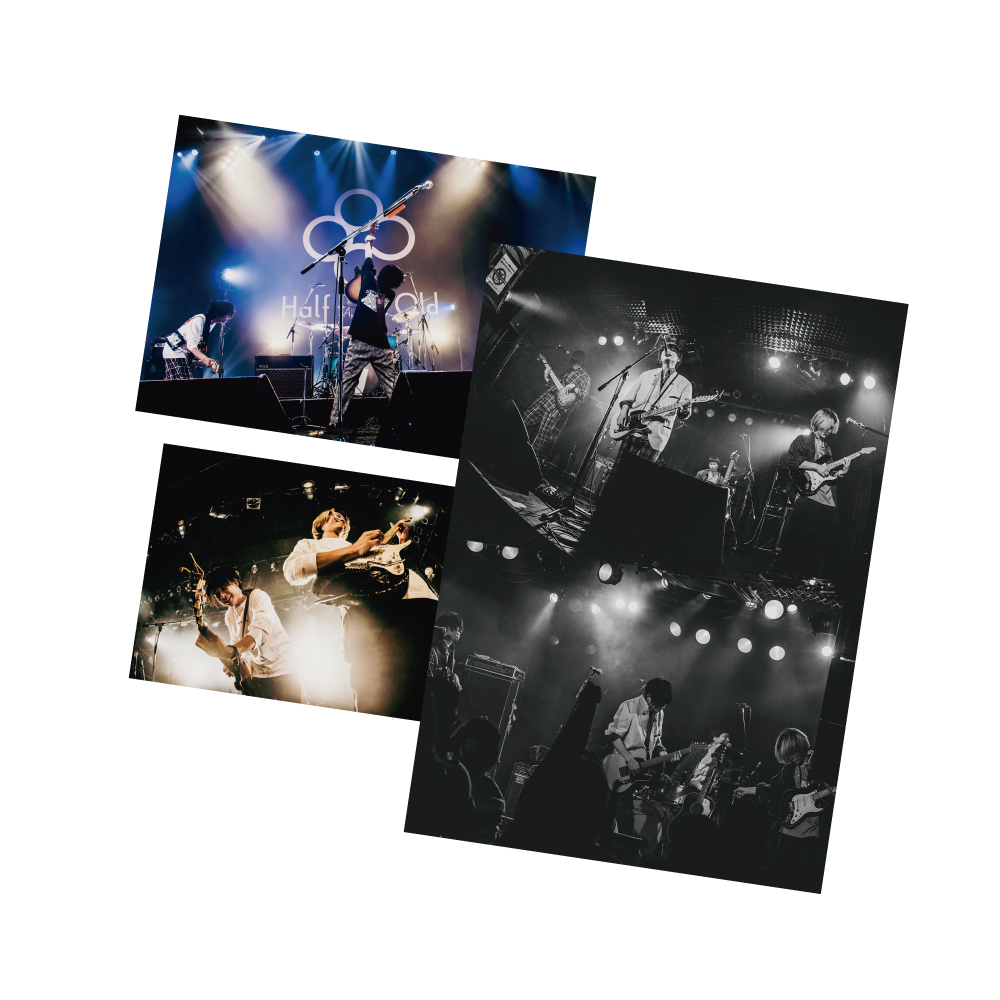 「ステレオアーモンド」リリースワンマンツアー”発芽”LIVE PHOTO BOOK